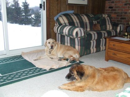 Lacey and Shelby